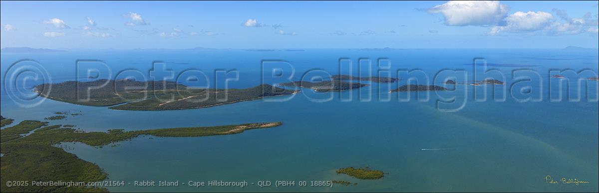 Peter Bellingham Photography Rabbit Island - Cape Hillsborough - QLD (PBH4 00 18865)